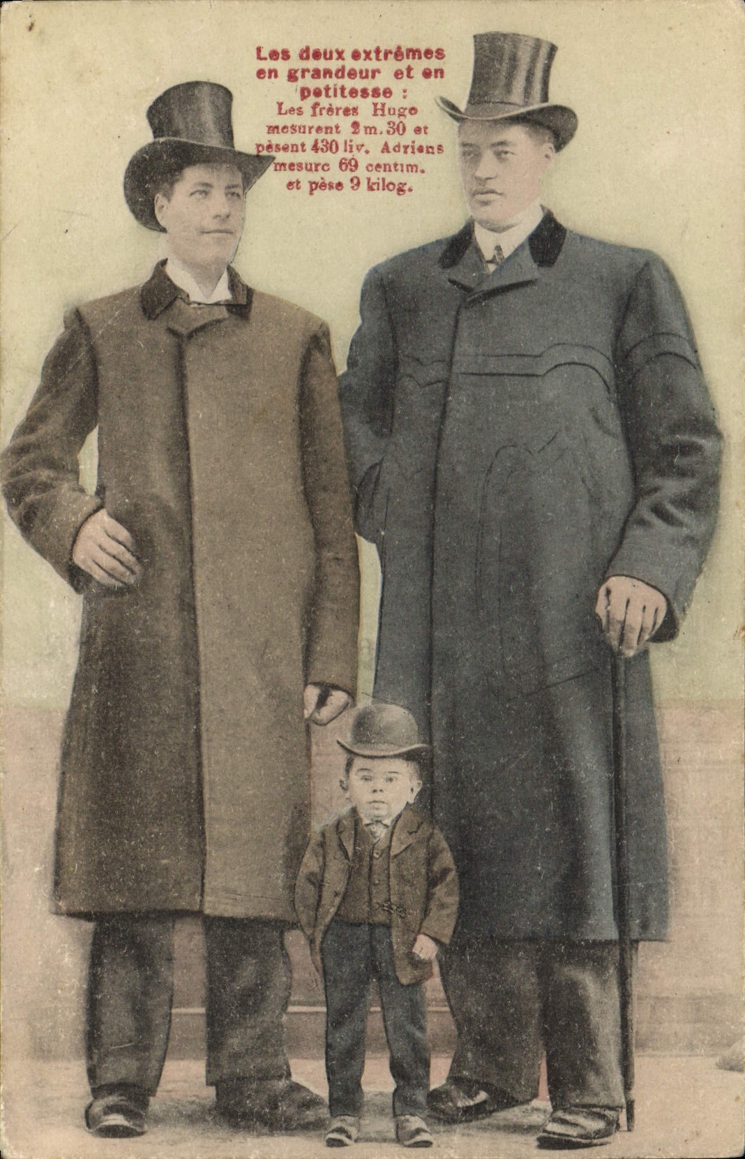 VINTAGE POSTCARD Dwarf Dwarves Giant the Hugo brothers