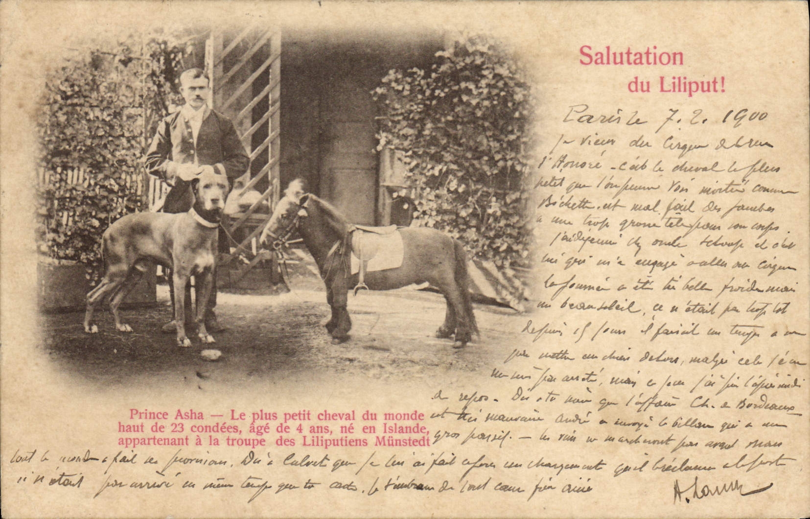 VINTAGE POSTCARD Dwarf Dwarves Liliput Prince Asha Pony