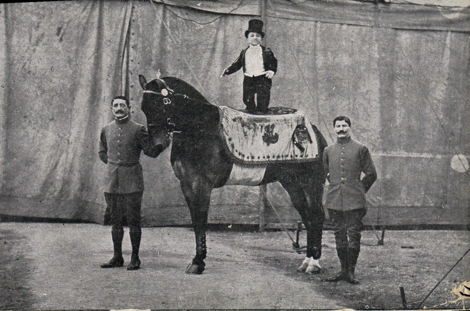 VINTAGE POSTCARD Dwarf Dwarves Horse Circus