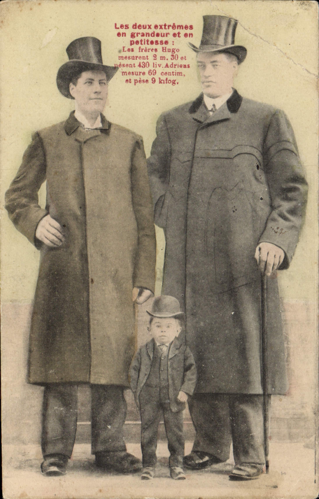 VINTAGE POSTCARD Dwarf Giant the Hugo brothers Dwarves