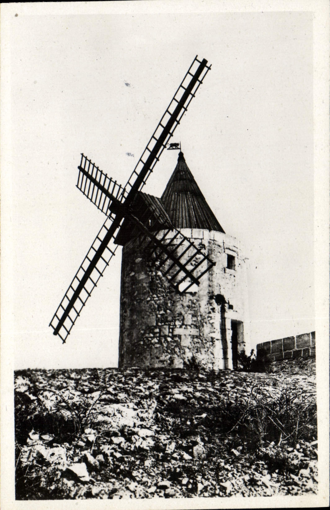 Alrededores del molino de viento de la POSTAL de la VENDIMIA del molino de Arles de Daudet
