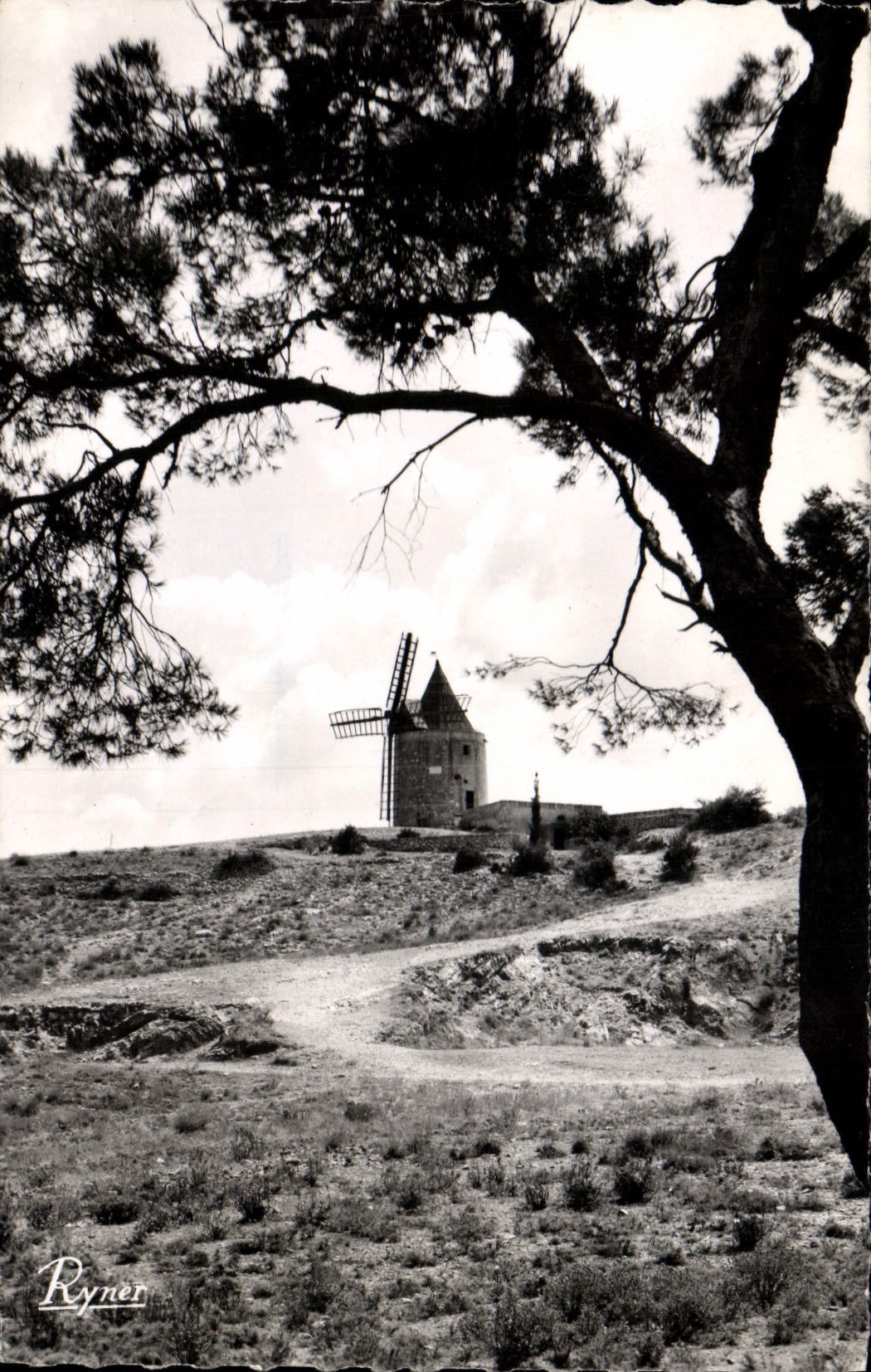 Molino de viento de Fontvieille de la POSTAL de la VENDIMIA el molino de Daudet