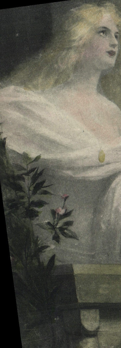 VINTAGE POSTCARD Fantasy Illustrator Elsa Woman