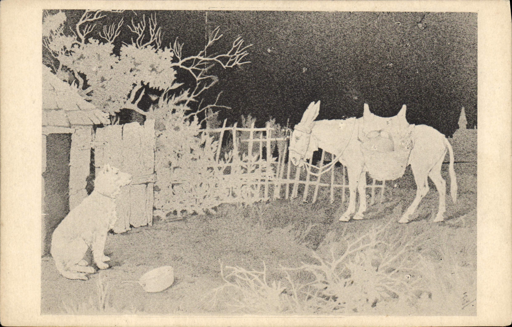 VINTAGE POSTCARD Fantasy Illustrator Ass Mule Dog