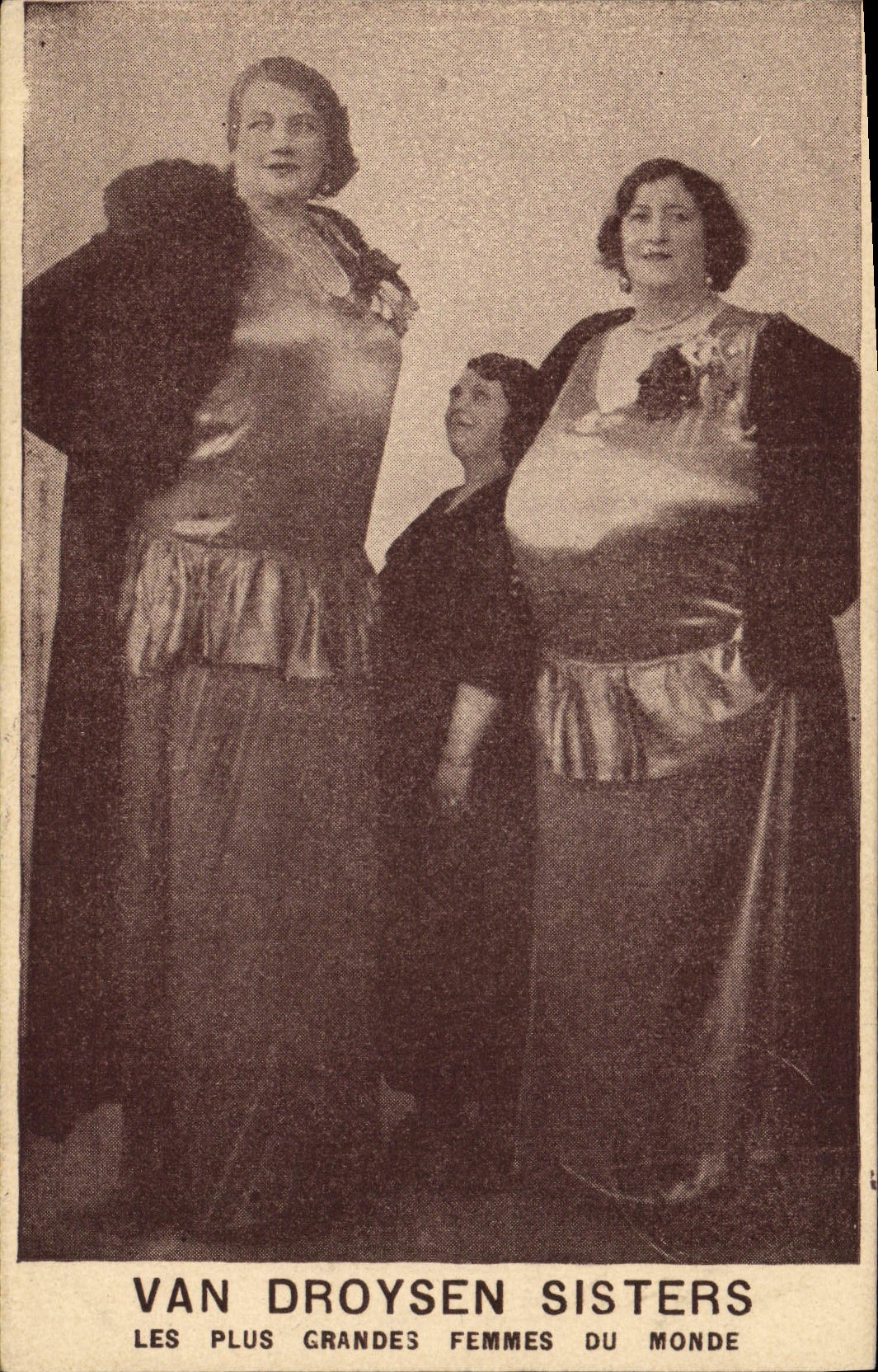 VINTAGE POSTCARD Giant Van Droysen Sisters largest society women