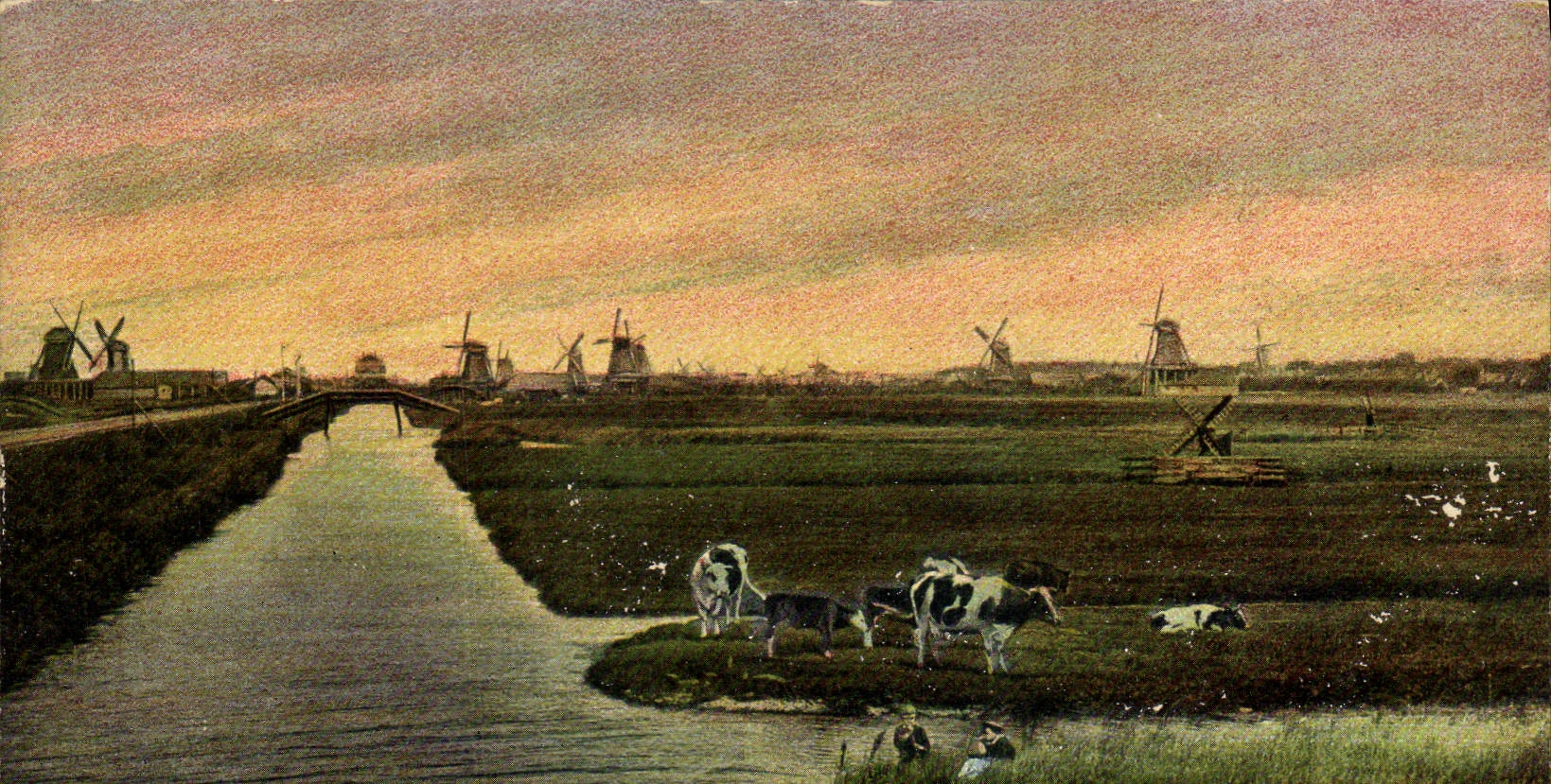 VINTAGE POSTCARD Windmill Zaanstreek Cows