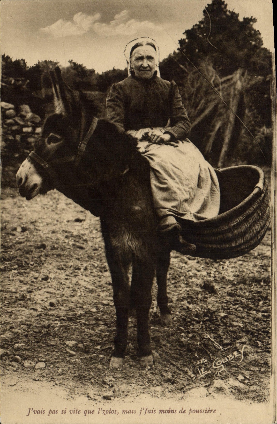 Mula de Normandía del asno de la mujer del folklore de la POSTAL de la VENDIMIA