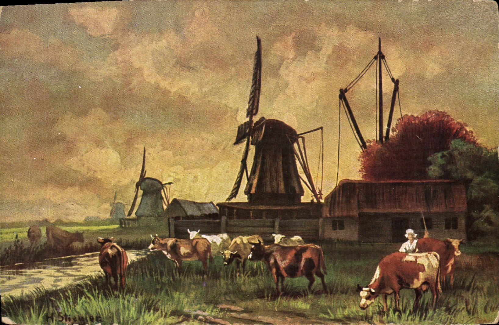 VINTAGE POSTCARD Windmill Cows