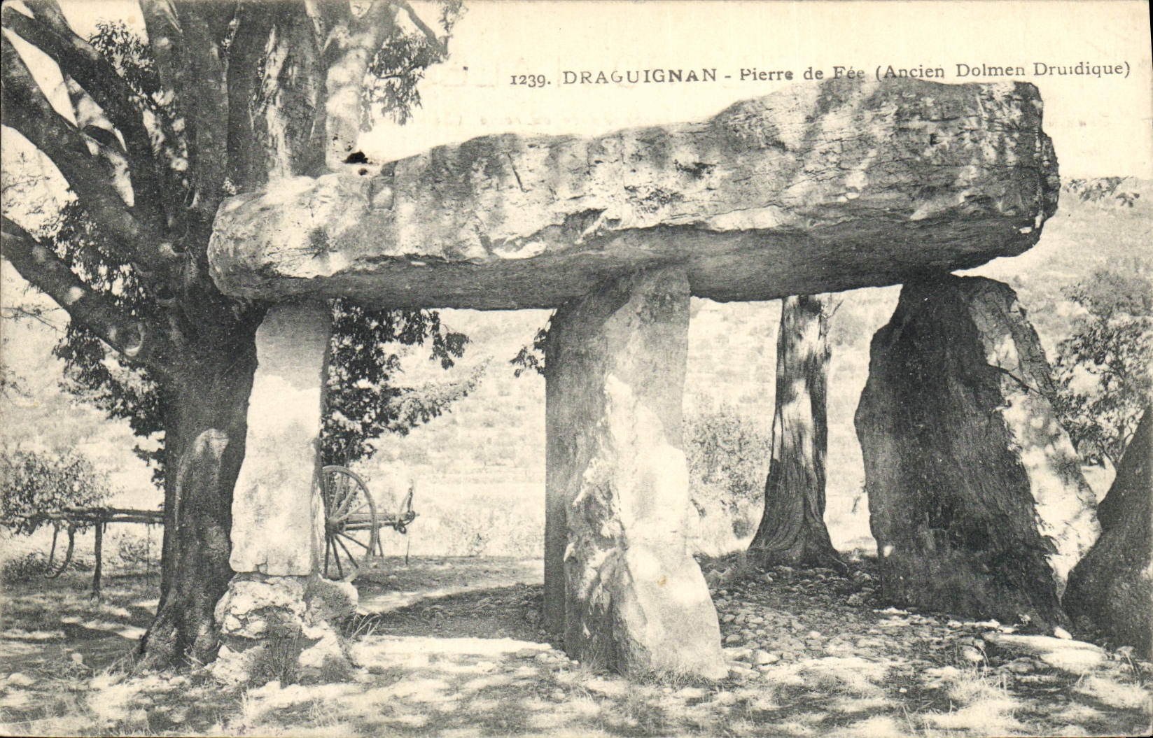 VINTAGE POSTCARD Dolmen Menhir Draguignan Pierre of fairy Old dolmen druidic