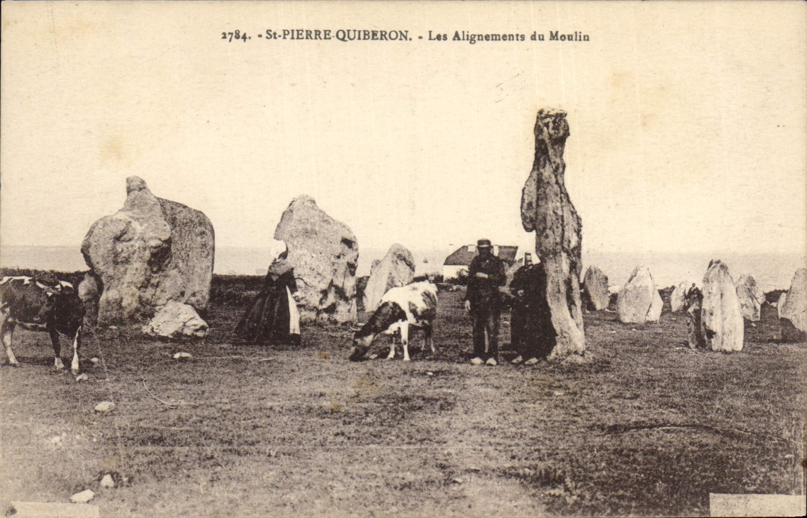 VINTAGE POSTCARD Dolmen Menhir St Pierre Quiberon alignments of the mill Cows