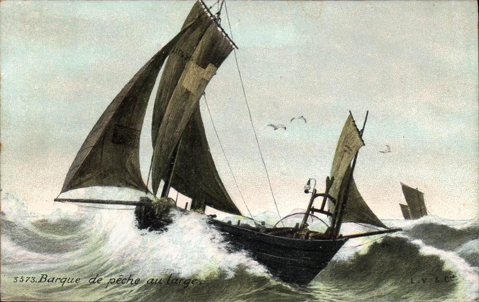 CPA Bateau de peche Barque de peche au large