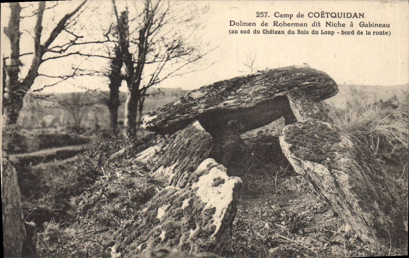 VINTAGE POSTCARD Dolmen Menhir Camp of Coetquidan Dolmen of Rocherman says Niche has Gabineau