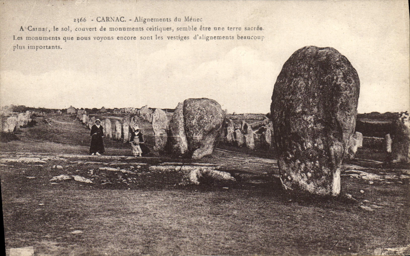 CPA Dolmen Menhir Carnac Alignements du Menec 