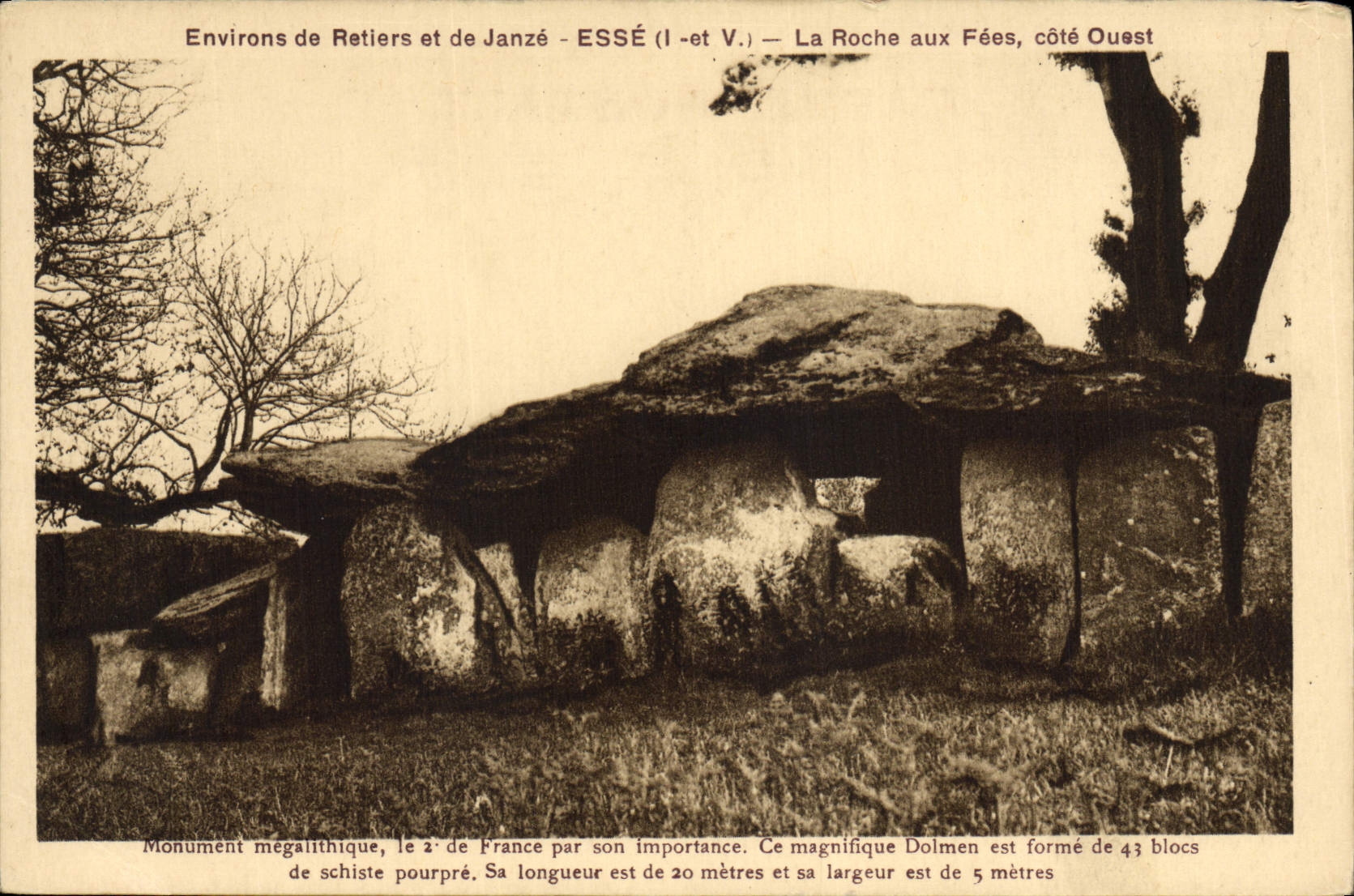 Alrededores del menhir del dolmen de la POSTAL de la VENDIMIA de Retiers y de Janze Esse la roca con las hadas