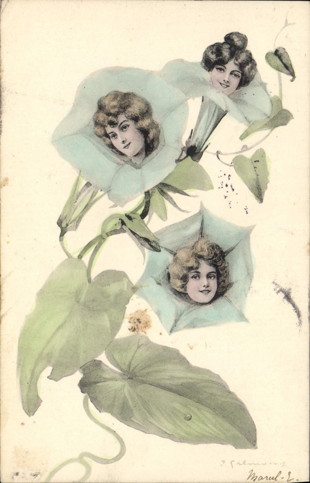 Flores de las mujeres del ilustrador de la fantasía de la POSTAL de la VENDIMIA