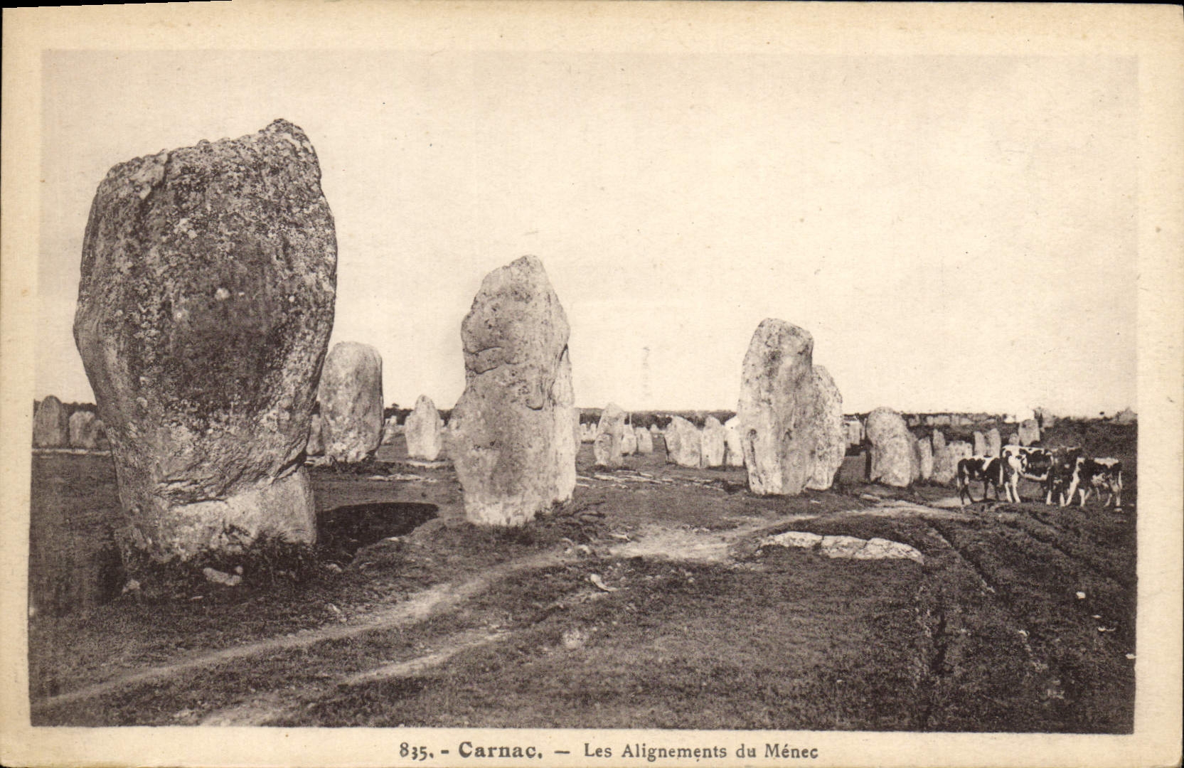 Alineaciones del menhir de Carnac del dolmen de la POSTAL de la VENDIMIA de las vacas de Menec