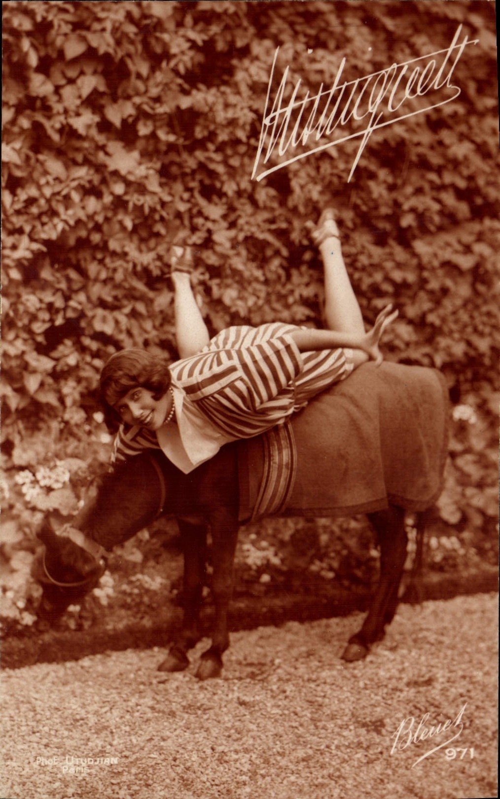 CPM Cinema Mistinguett Ane Mule 