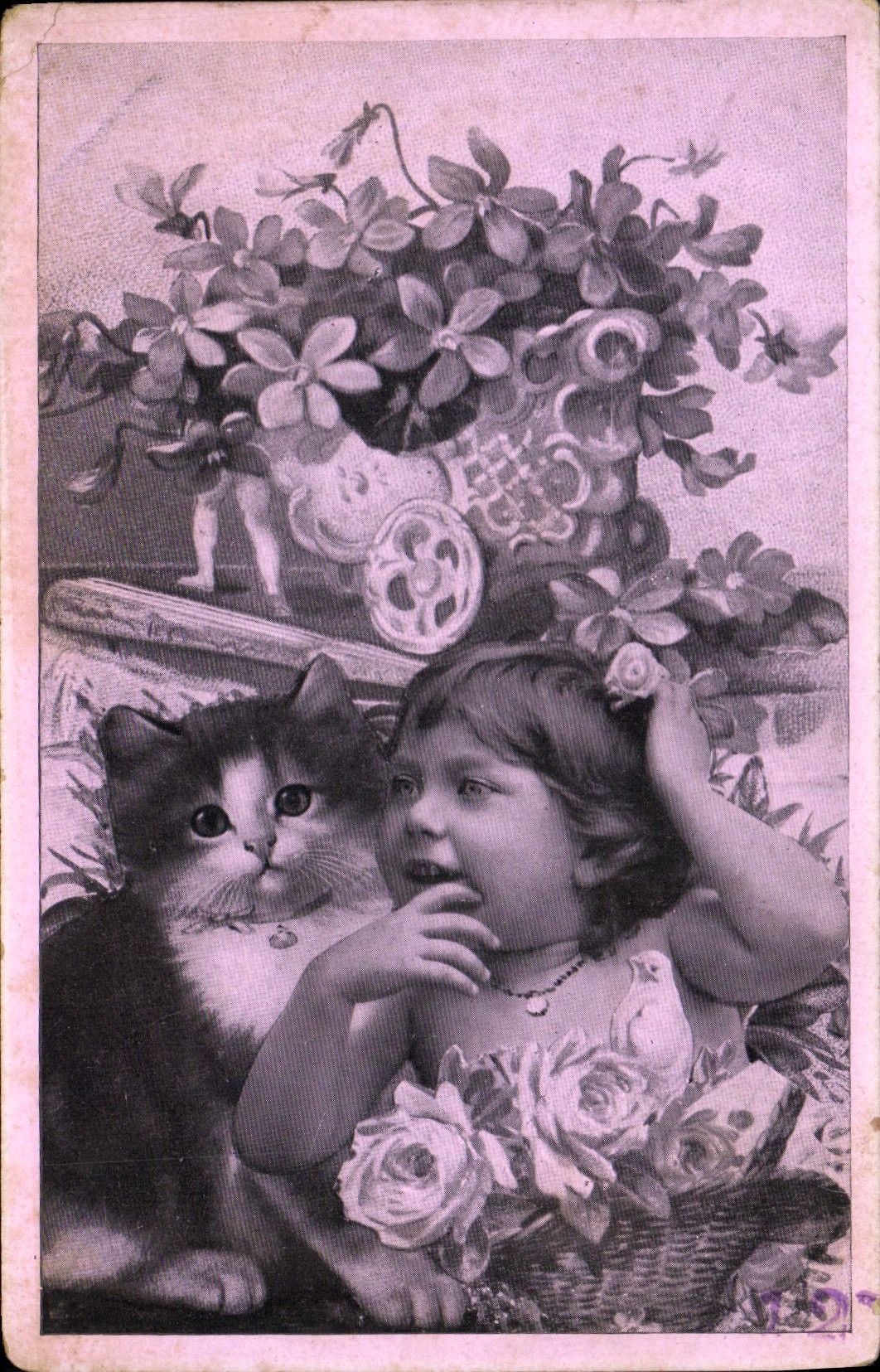 CPA Chat Chats Chaton Enfant