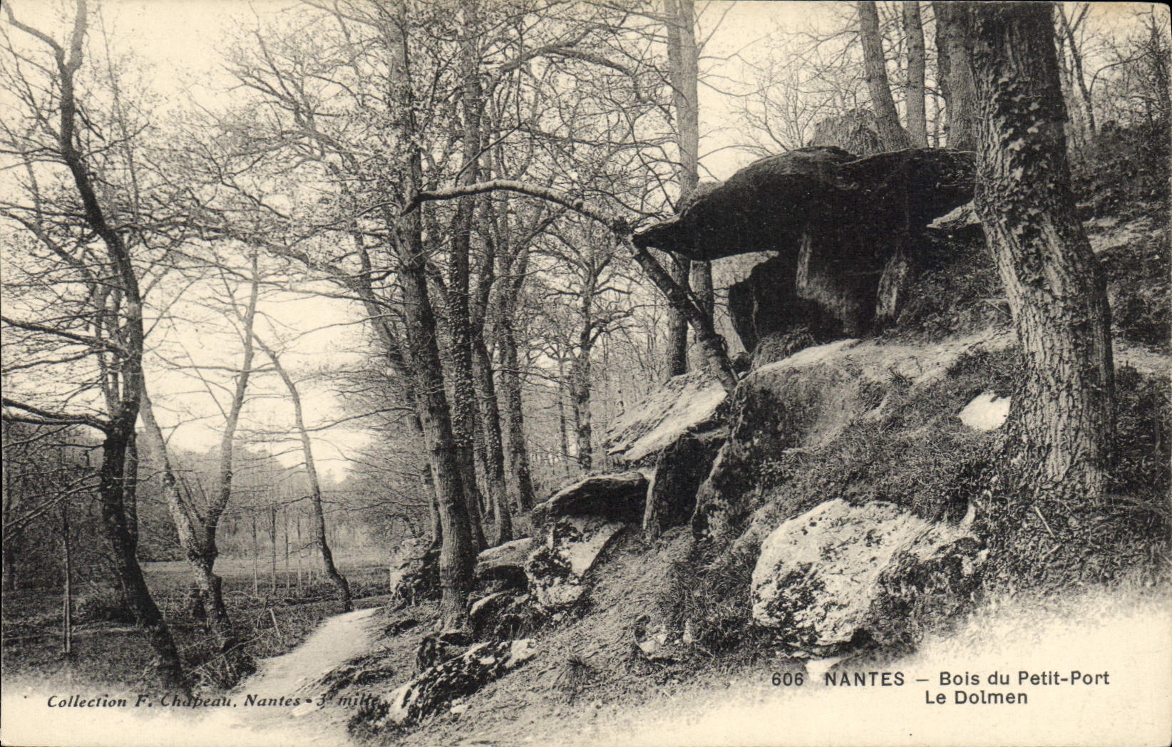 VINTAGE POSTCARD Dolmen Menhir Nantes Wood of the Small Port