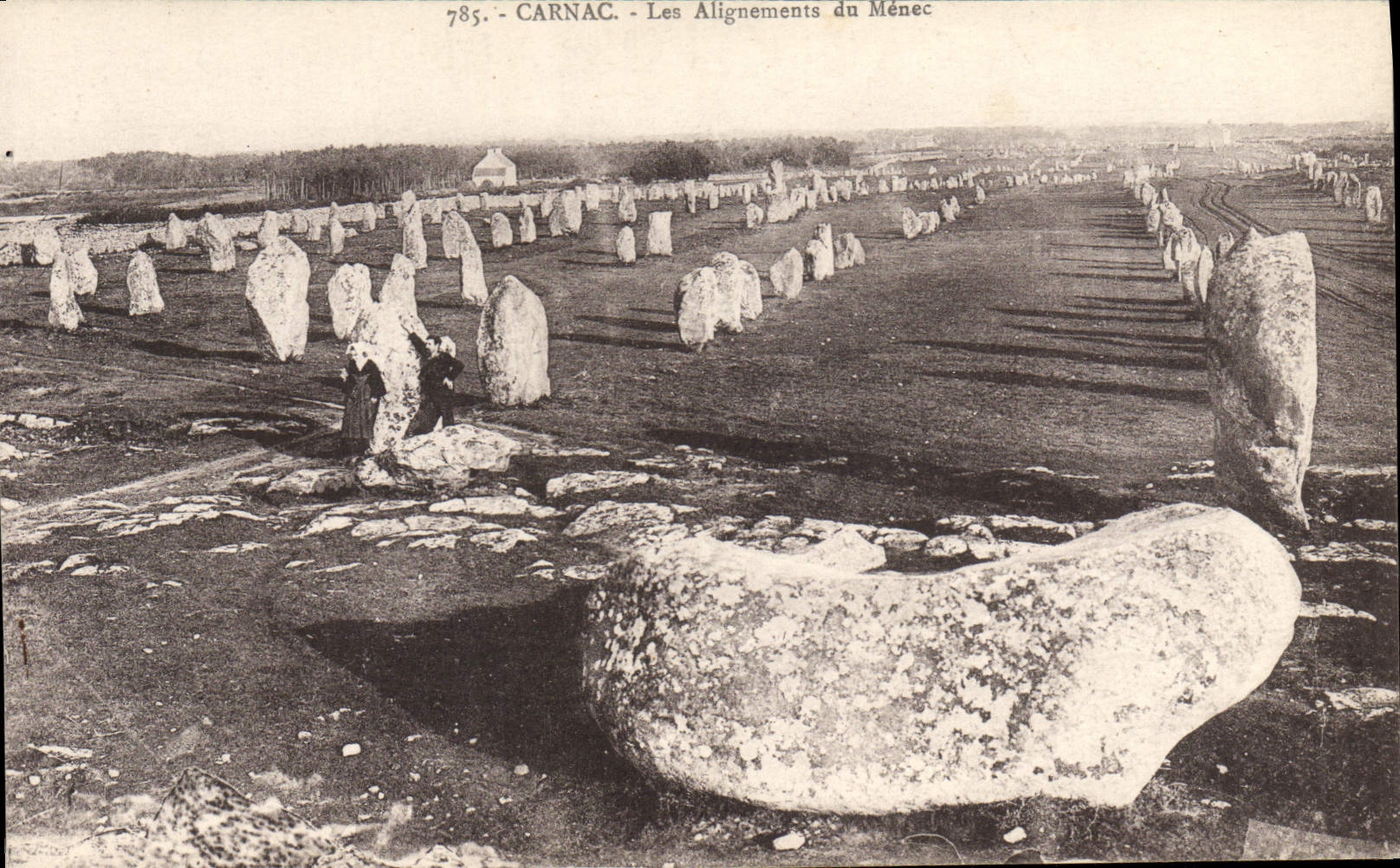 CPA Dolmen Menhir Carnac Les alignements du Menec