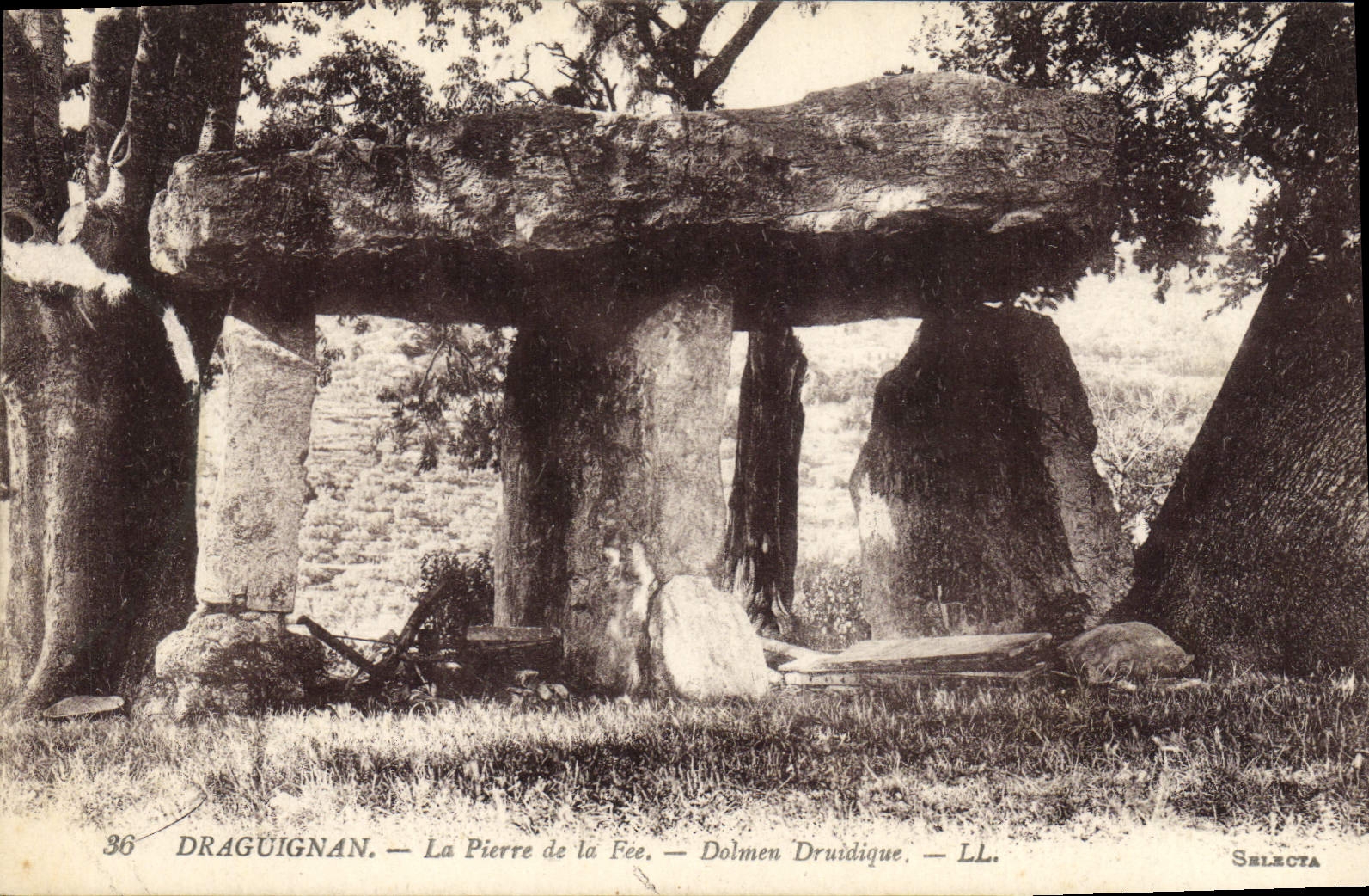 VINTAGE POSTCARD Dolmen Menhir Draguignan Pierre of the druidic Fairy Dolmen