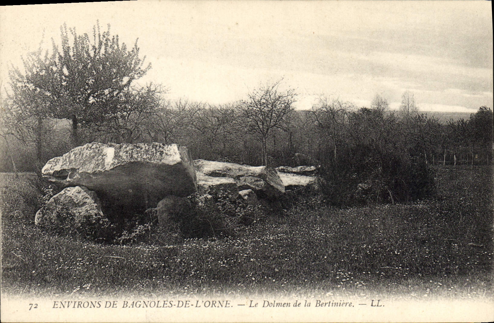 CPA Dolmen Menhir Environs de Bagnoles de l'Orne Le dolmen de la Bertiniere 