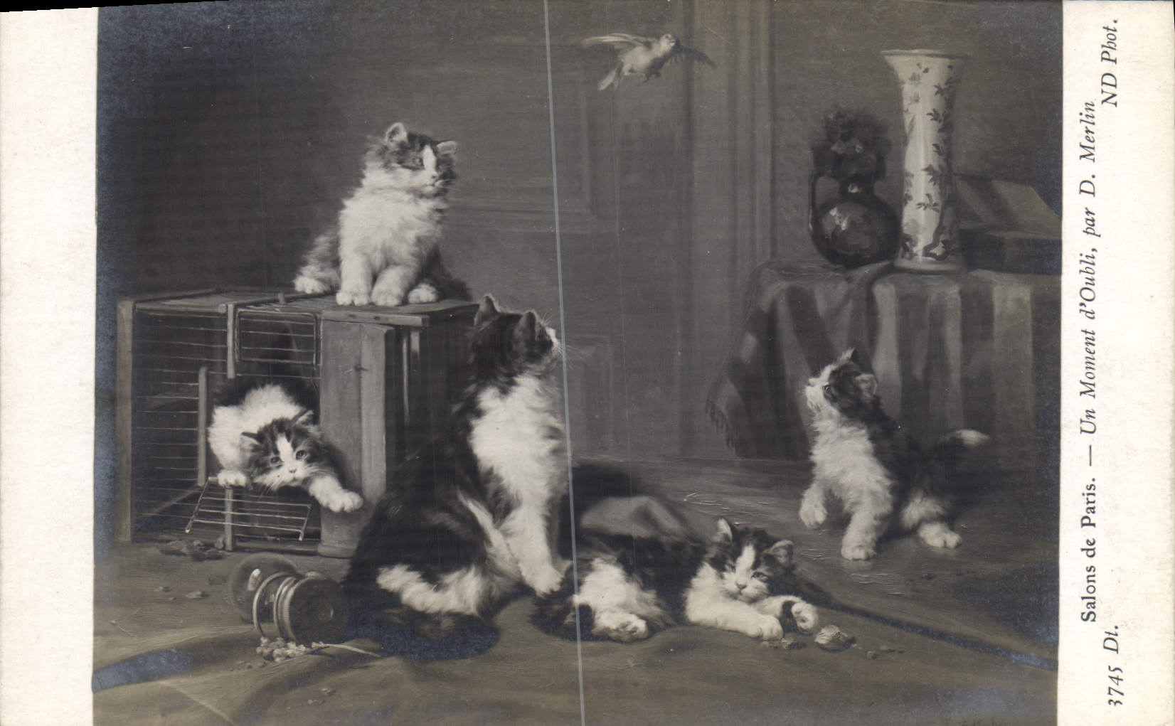 CPA Chat Chats Chaton Salons de Paris Un moment d'obli Oiseau