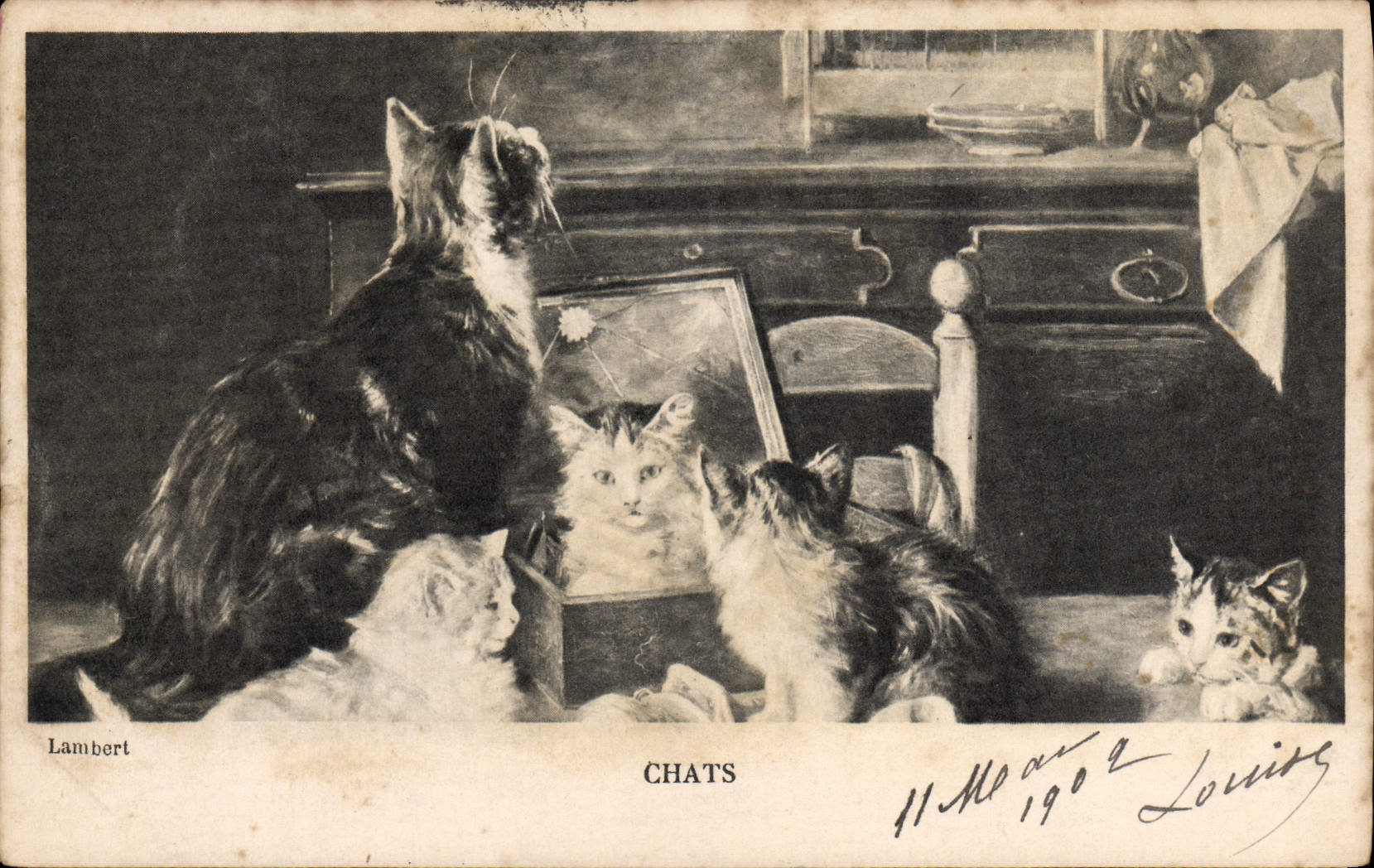 CPA Chat Chats Chaton 