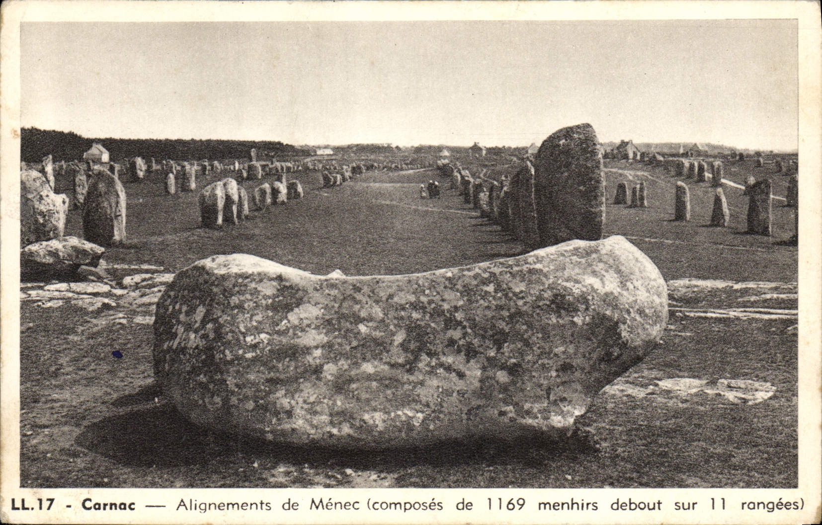 Alineaciones de Carnac del menhir del dolmen de la POSTAL de la VENDIMIA del menc