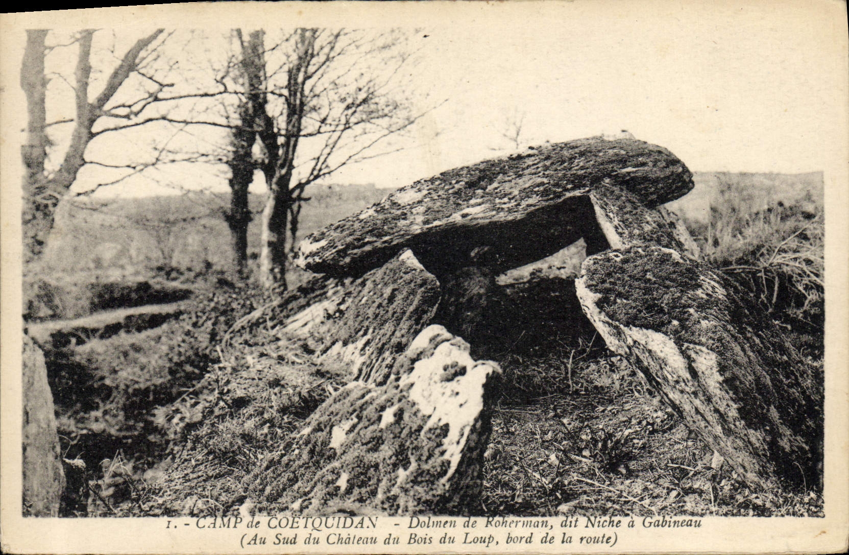 VINTAGE POSTCARD Dolmen Menhir Camp of Coetquidan Dolmen of Roherman says Niche has Gabineau In the south of the castle of the Wood of the Wolf