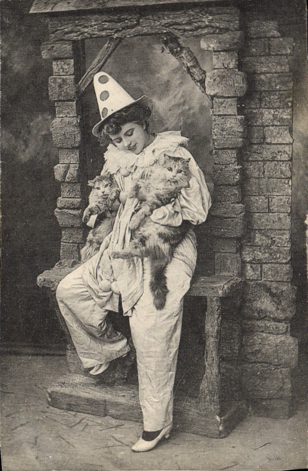 CPA Chat Chats Chaton Clown