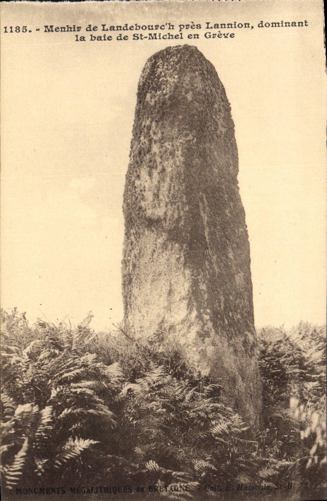 VINTAGE POSTCARD Dolmen Menhir of Landebourc' H close lannion Bay of St Michel in Strike