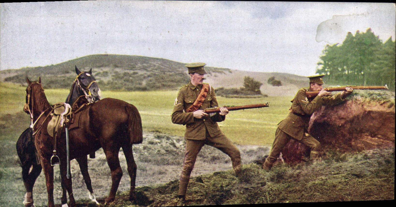 VINTAGE POSTCARD Royal Militaria 5the Scouts Throws