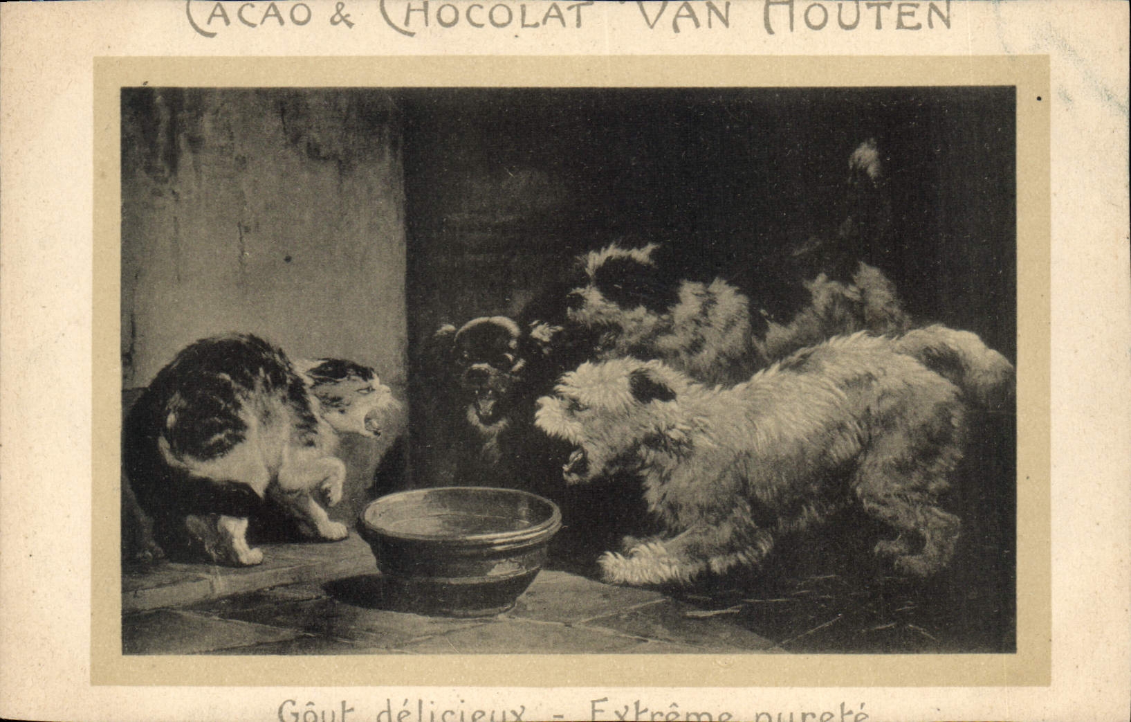 CPA Chat Chats Chaton Chien Cacao Van Houten