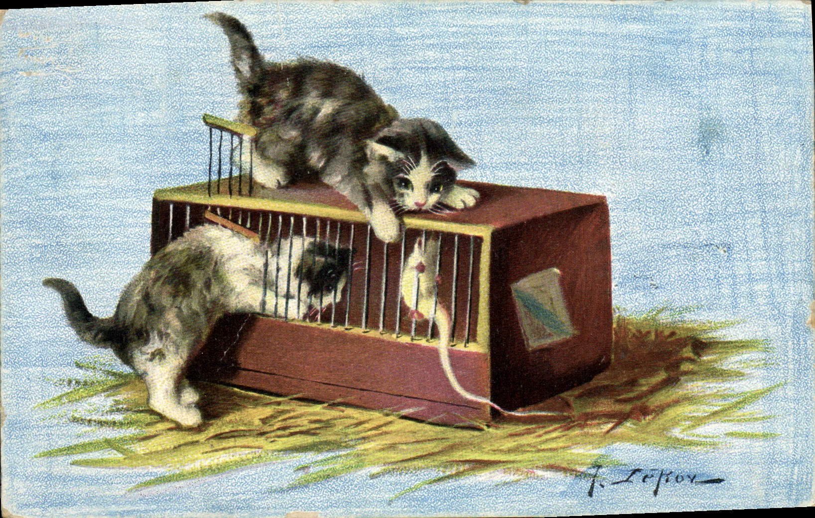 CPA Chat Chats Chaton Souris