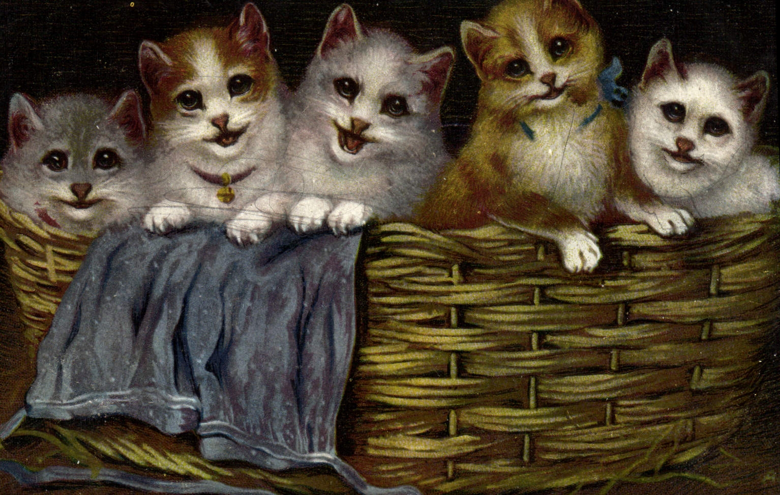 CPA Chat Chats Chaton