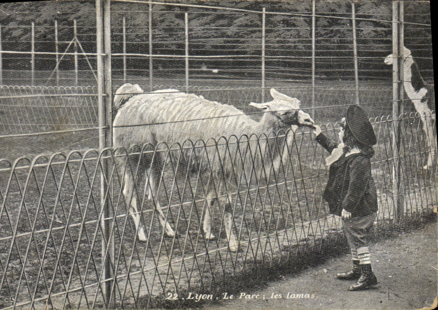 CPA Lyon Le parc les Lamas