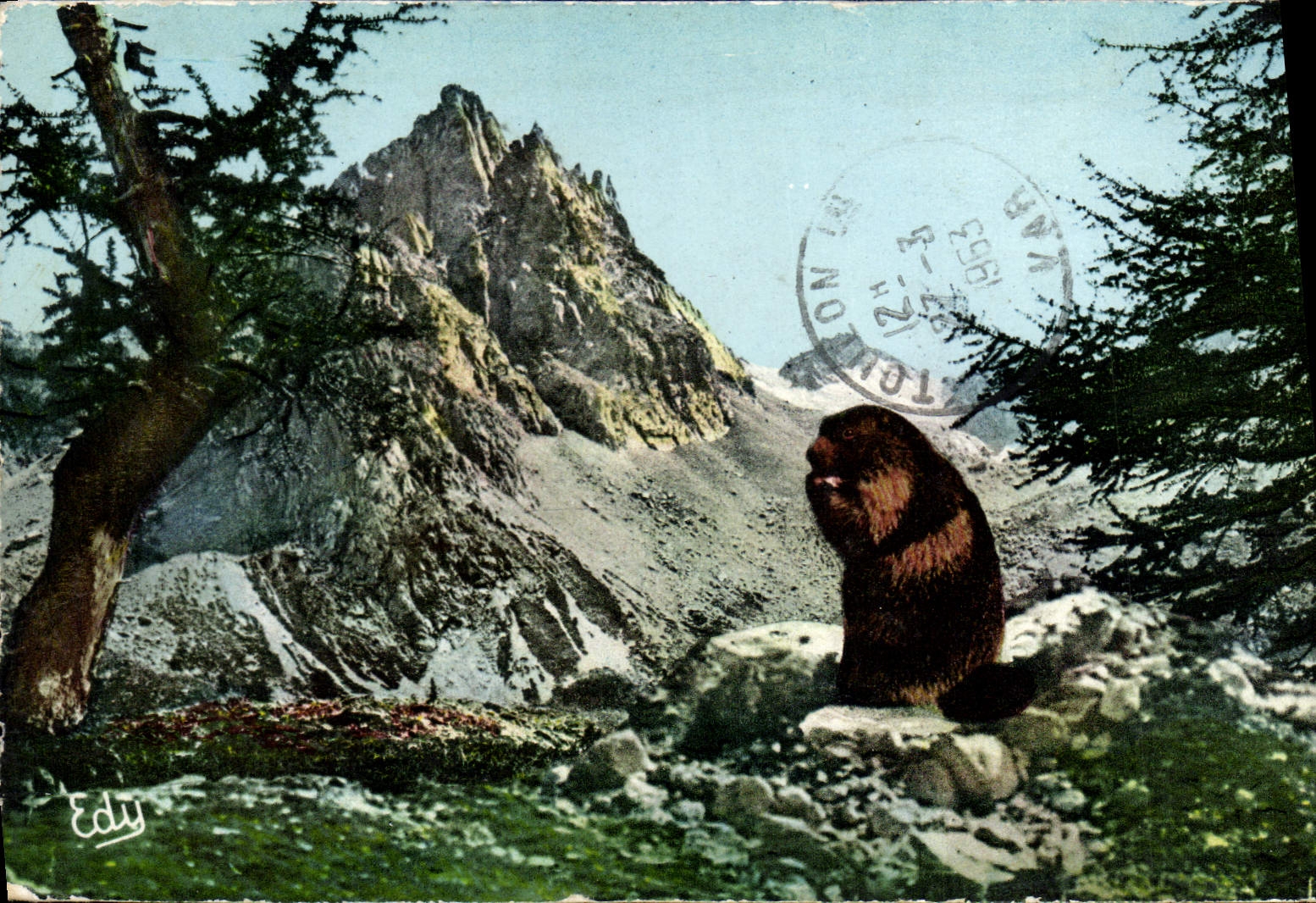 CPM Le dejeuner de la Marmotte