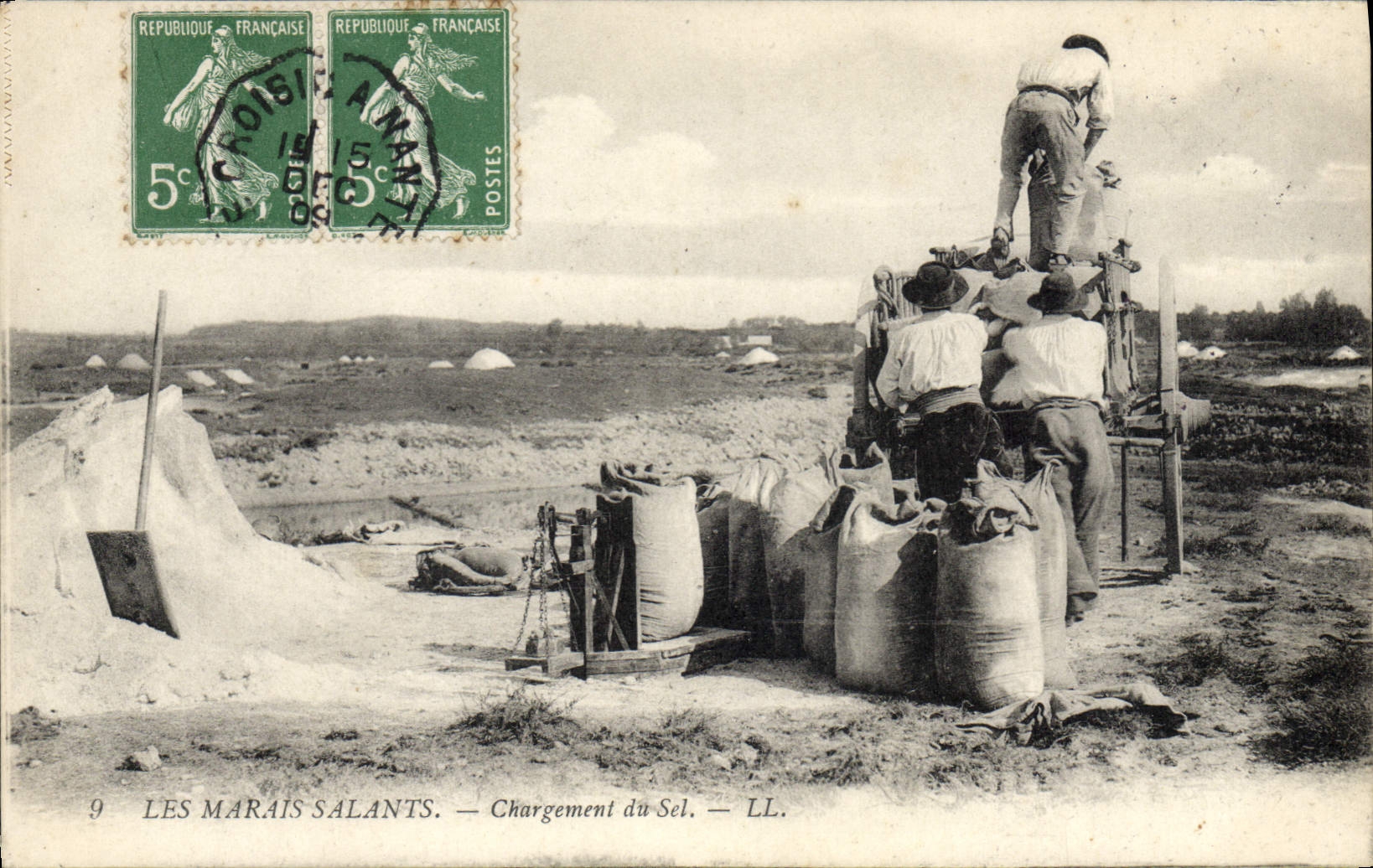 VINTAGE POSTCARD Salt-water marshes salt TOP Loading