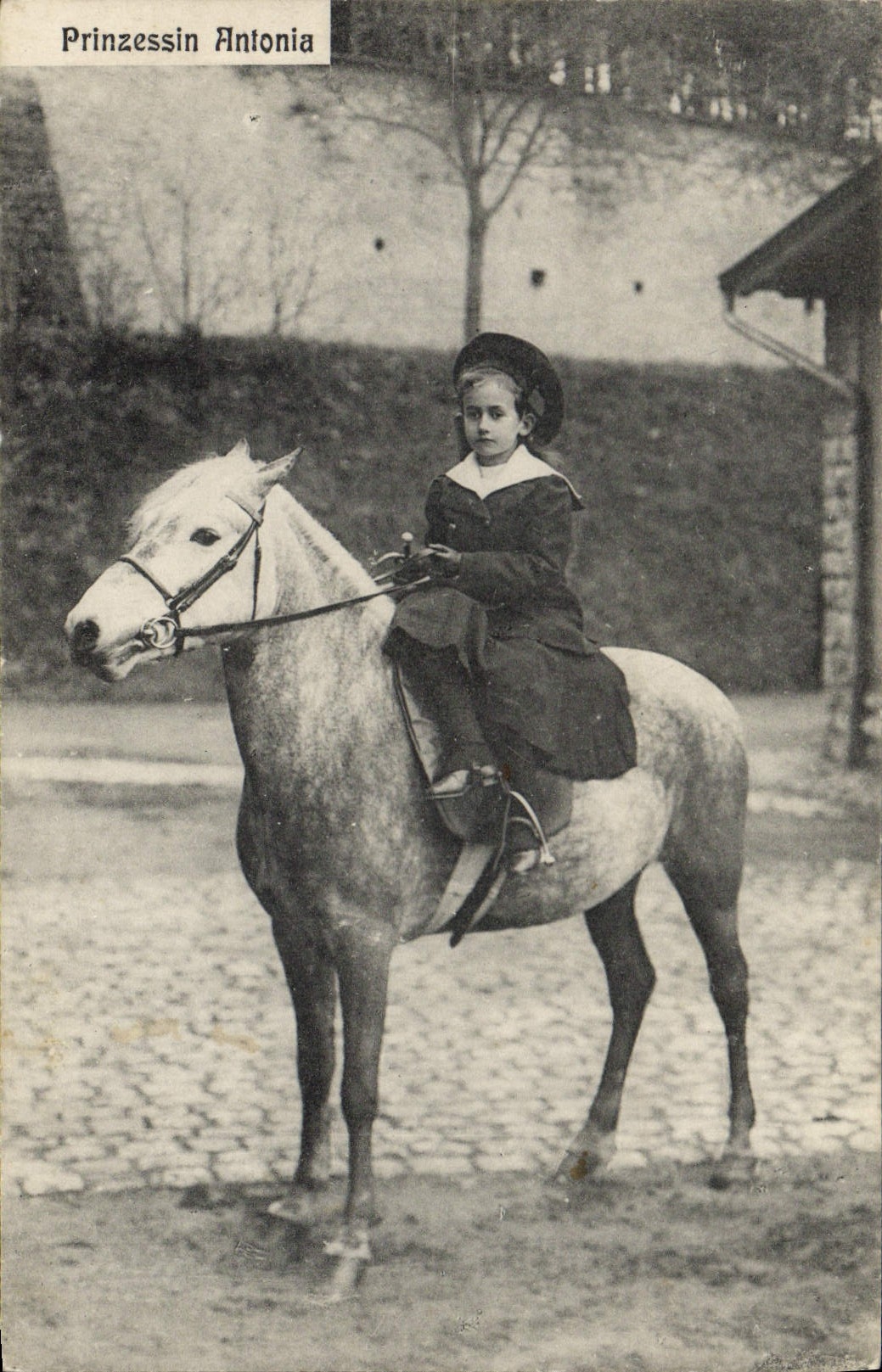 VINTAGE POSTCARD Prinzessin Antonia Horse