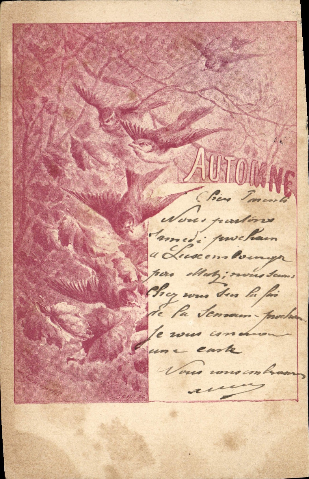 VINTAGE POSTCARD Fantasy Illustrator Birds Fall