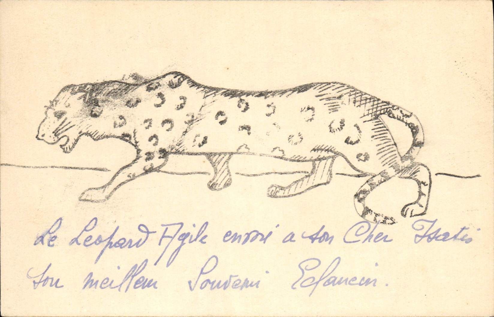 VINTAGE POSTCARD Leopard