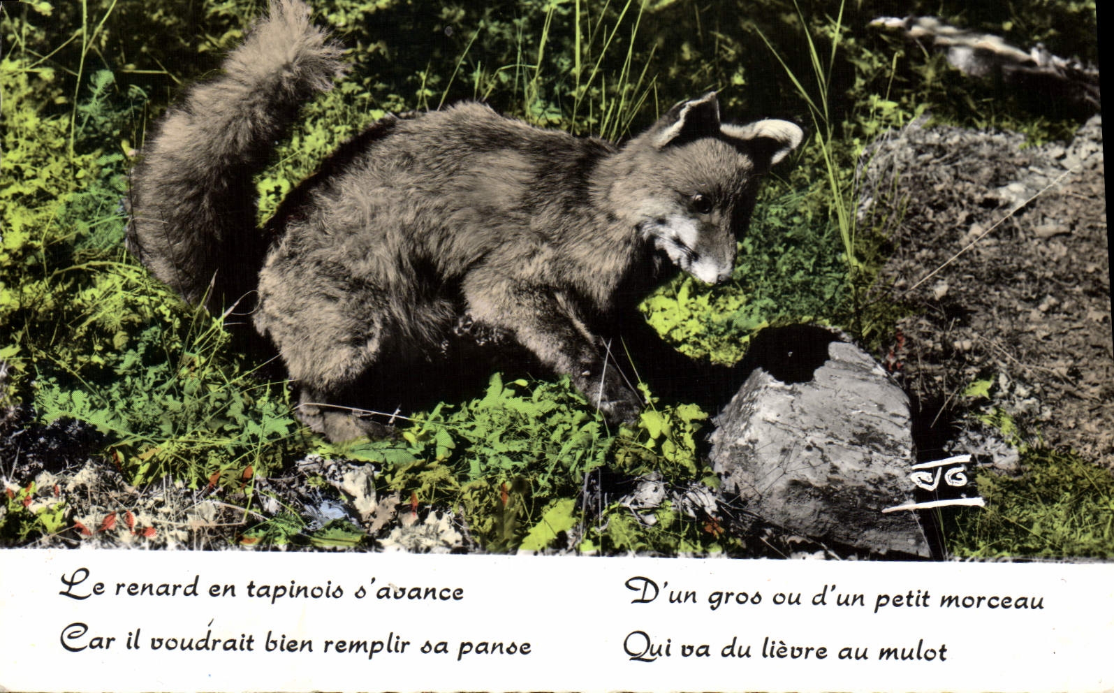 MODERN CARD the Alps Fox