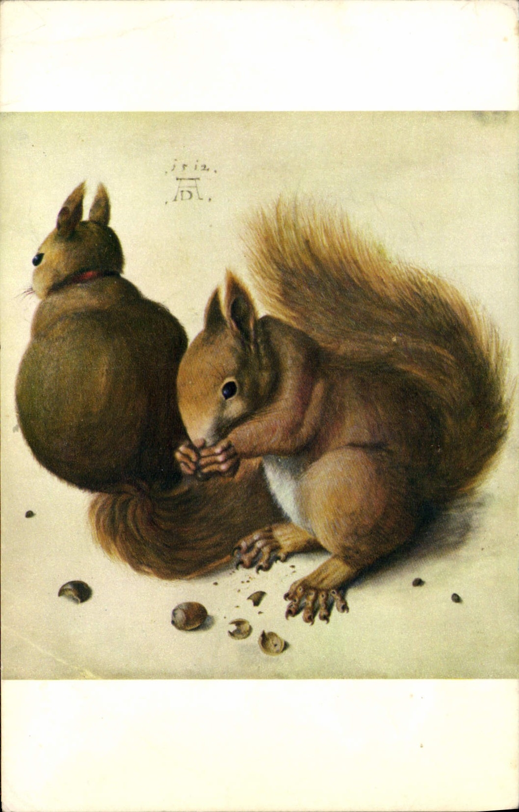 CPA Durer Les ecureuils