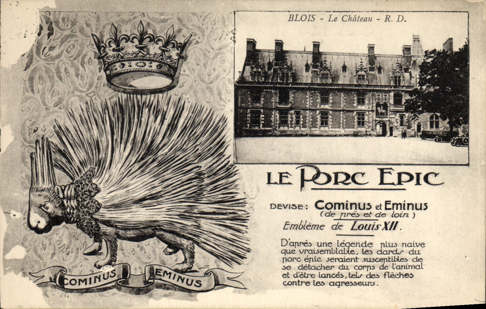 VINTAGE POSTCARD Blois the castle the pig epic