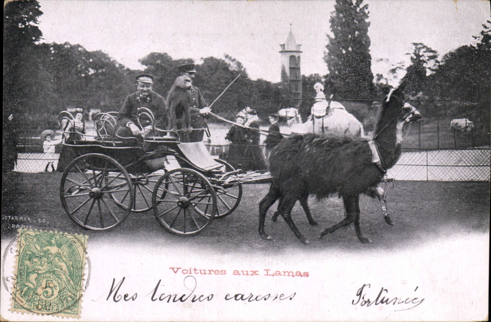 VINTAGE POSTCARD Voitures with spangled Singe