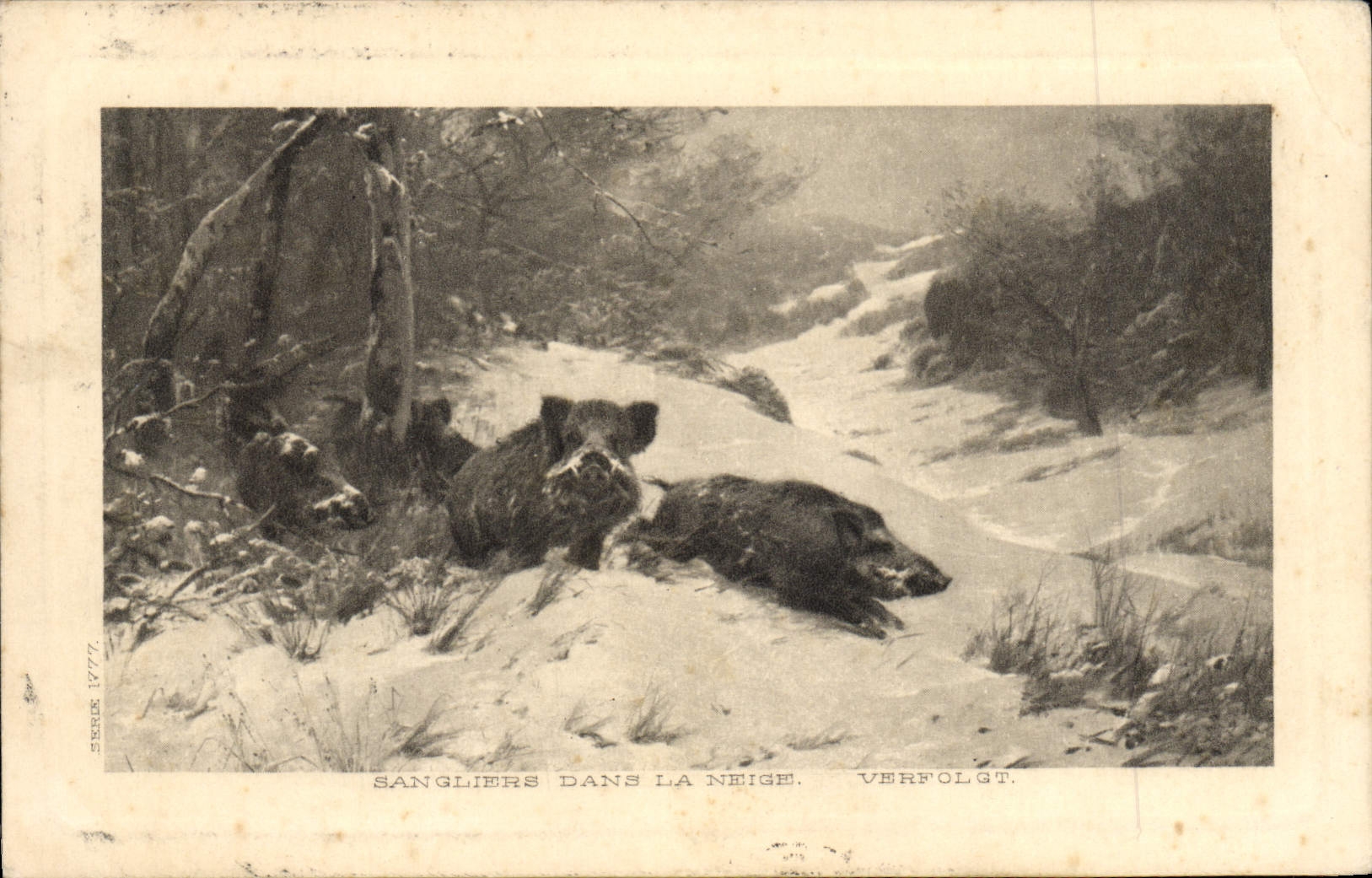 CPA Sangliers dans la neige