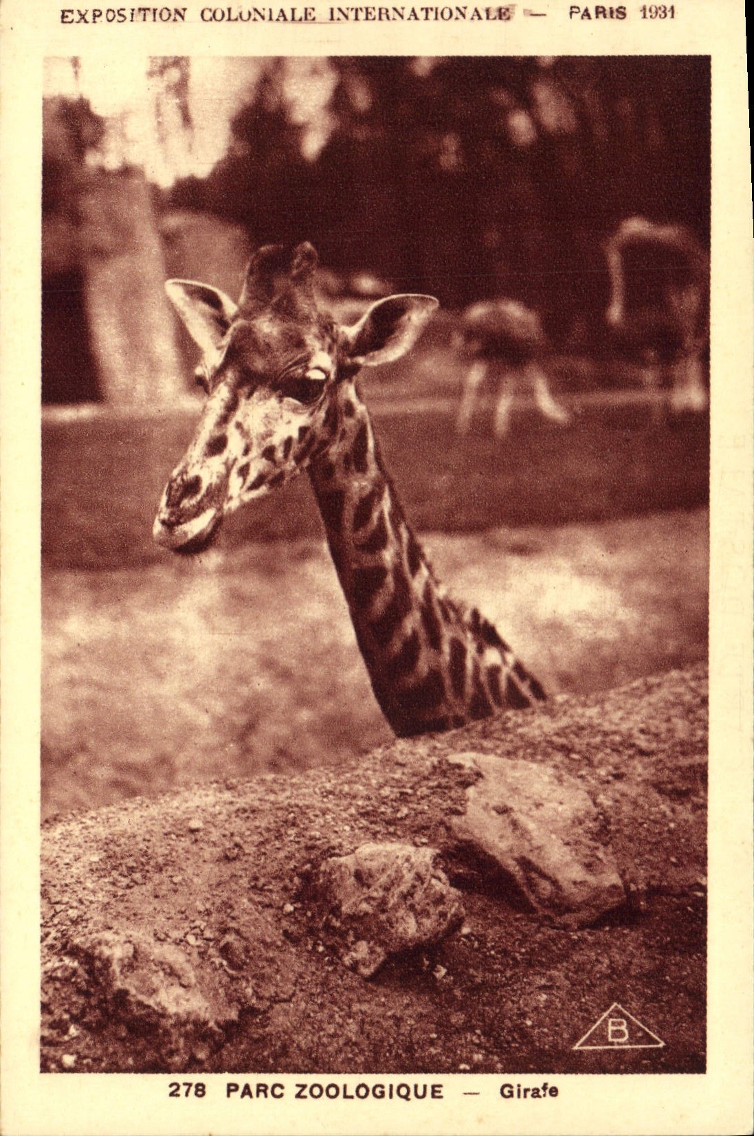 CPA Paris Exposition coloniale internationale 1931 Parc zoologique Girafe