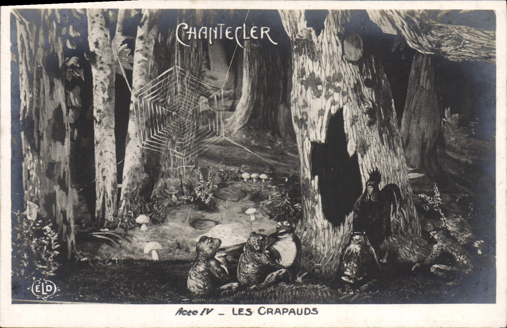 CPA Edmond Rostand Chantecler Les crapauds Grenouille