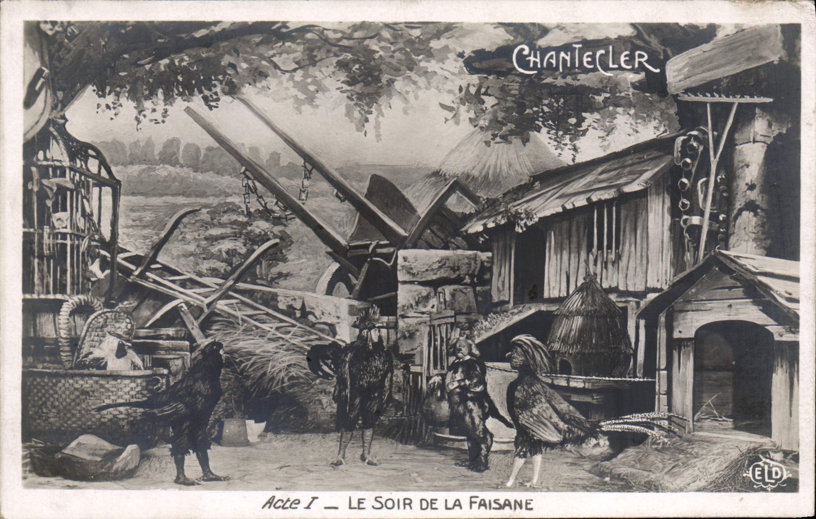 CPA Edmond Rostand Chantecler Le soir de la faisane